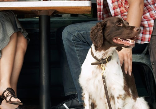 The Rise of Pet-Friendly Coffee Shops in Westchester County, NY